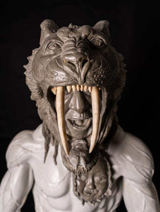 SALIENDO DE LA OSCURIDAD