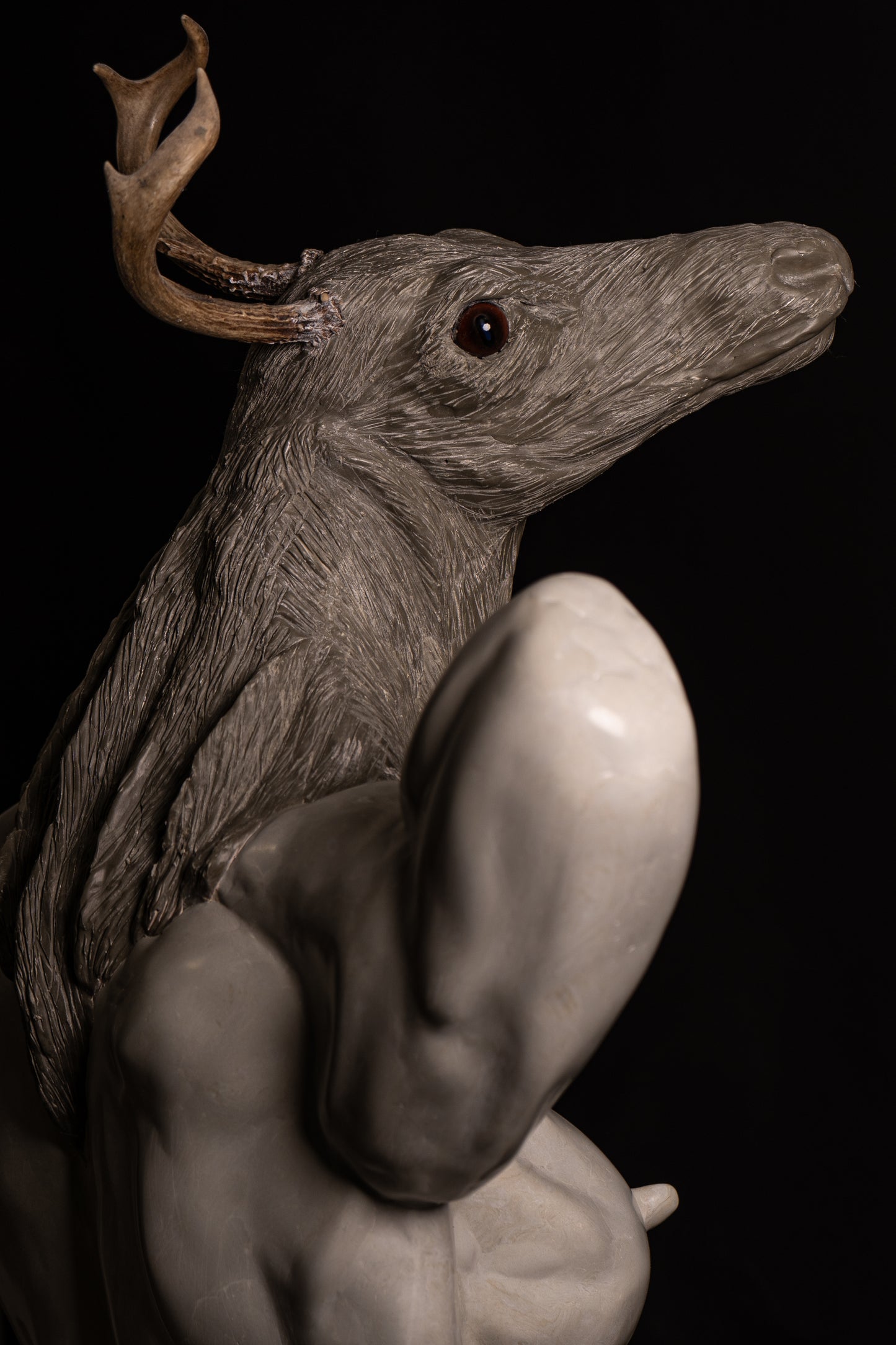 THE PREY